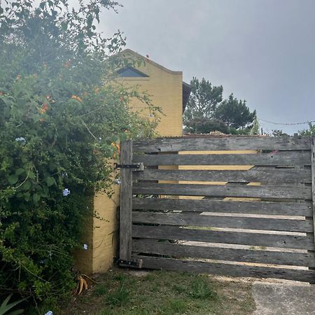 Proa Amarilla Lägenhet Punta del Este Exteriör bild